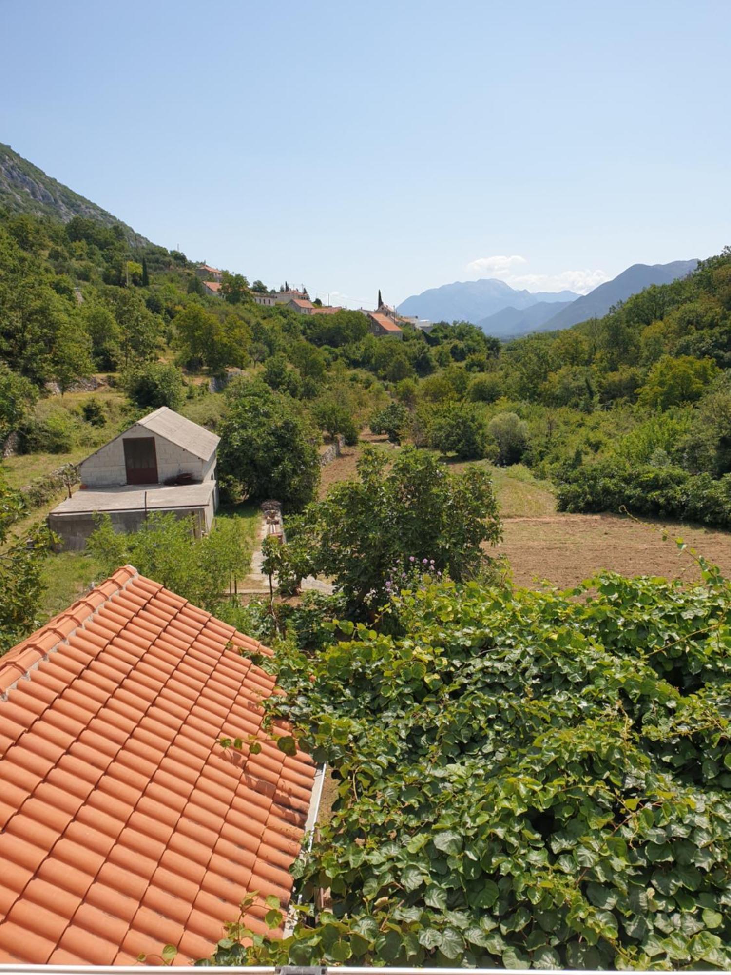 Apartman Nature Zvecanje Экстерьер фото